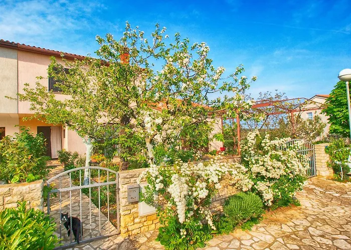 Dvorine 1210 Banjole